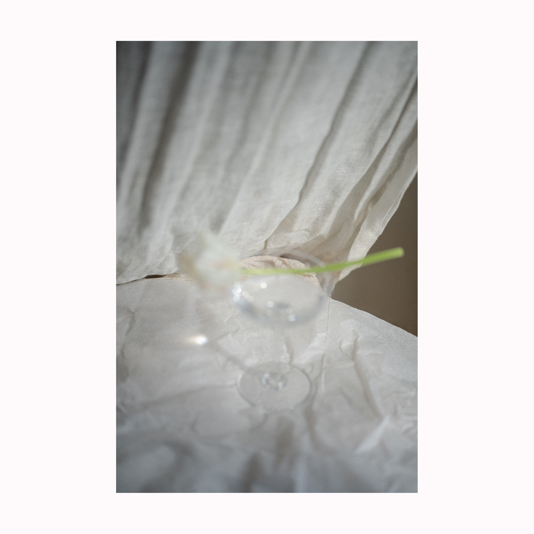 100 Days of Lumière - verre à pied et fleur