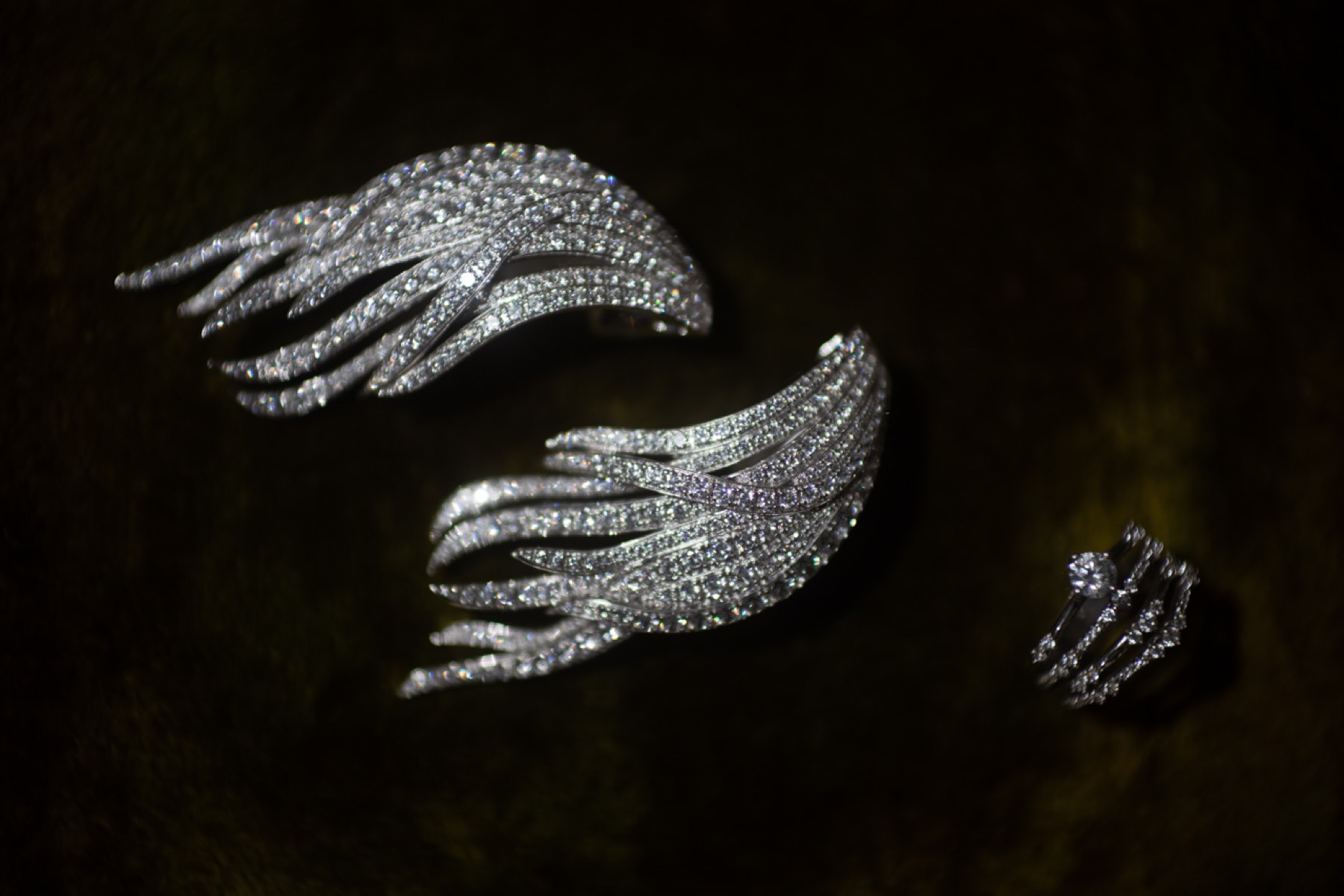 Eikon Collection