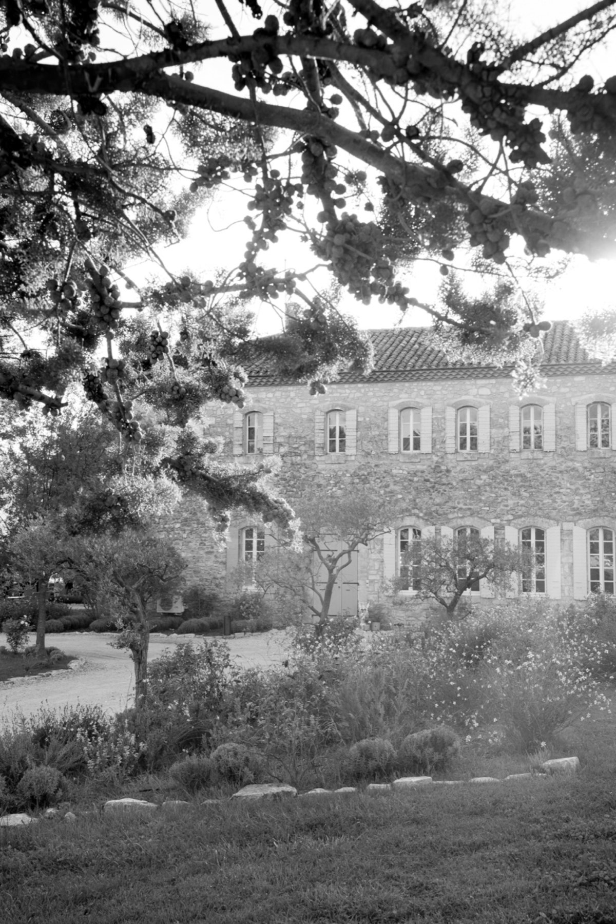 Le domaine - lieu de réception